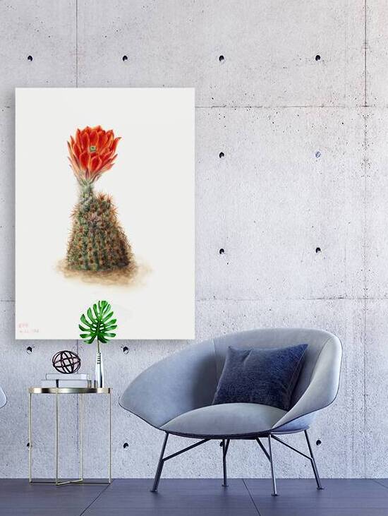 Cucumber Cactus 1939 by IStockHistory com