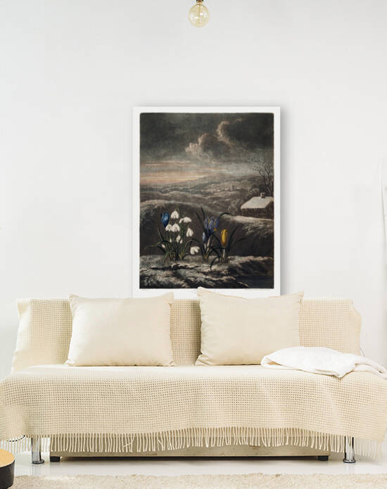 The Snowdrops by IStockHistory com