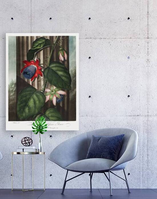 The Winged Passion-Flower Reproduction