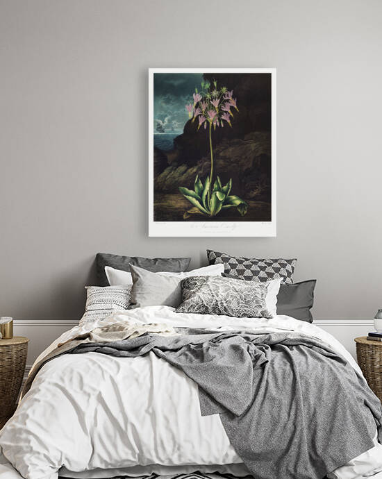 The American Cowslip by IStockHistory com