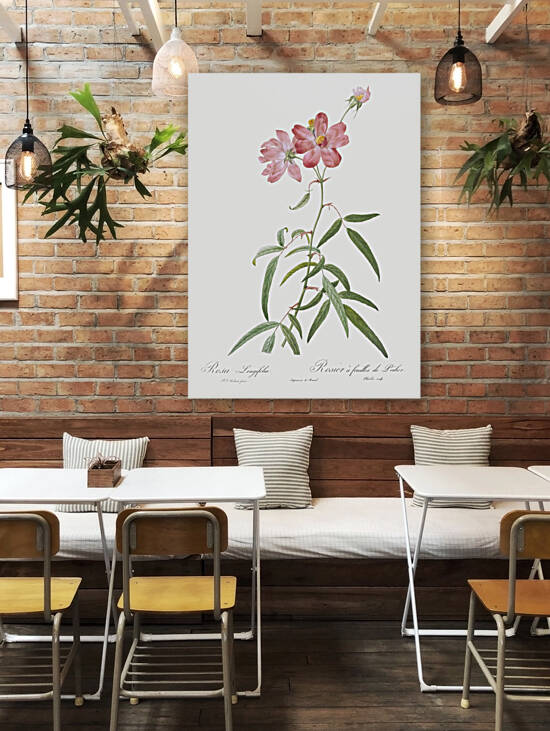 Blooming pink roses by IStockHistory com