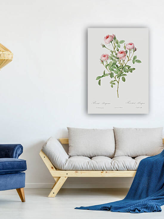 Blooming pink rosebush by IStockHistory com