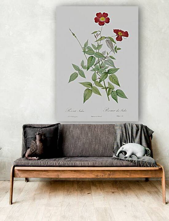 Blooming red rosebush by IStockHistory com
