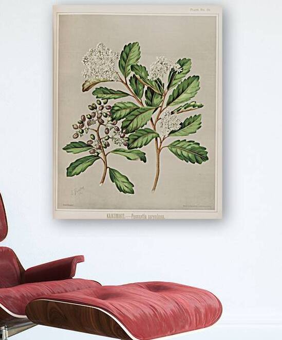 Sarah Featon 019 Reproduction