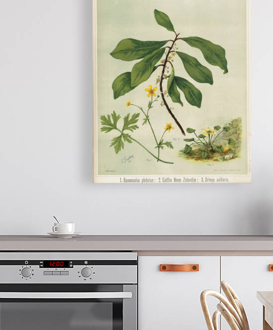 Sarah Featon 013 Reproduction