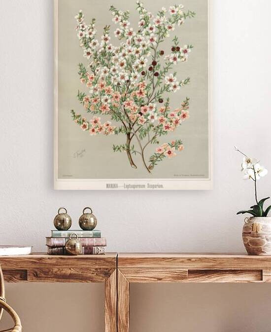 Sarah Featon 026 Reproduction