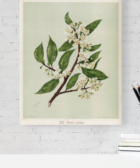 Sarah Featon 018 Reproduction