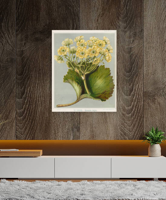 Sarah Featon 032 Reproduction