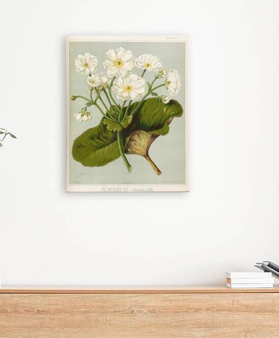Sarah Featon 033 Reproduction