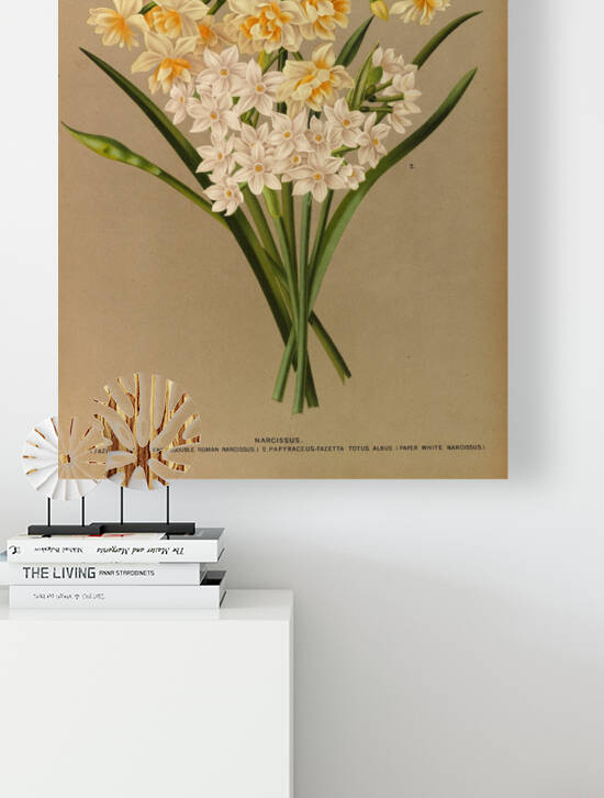 Album van Eeden : Haarlems flora : 1872-1881 Reproduction