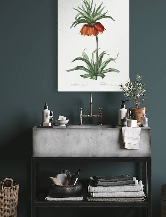 Fritillaries illustration  by IStockHistory com