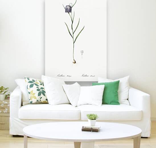 Chess flower illustration  by IStockHistory com