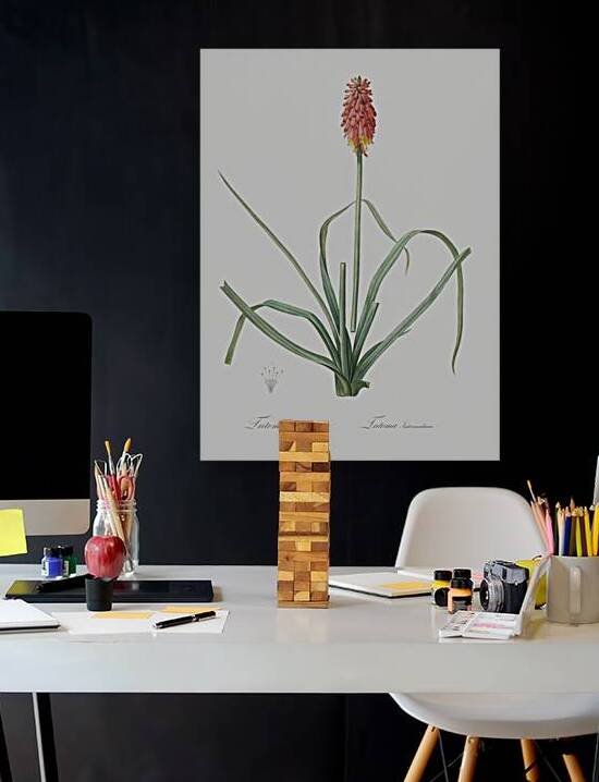 Redhot poker illustration  by IStockHistory com