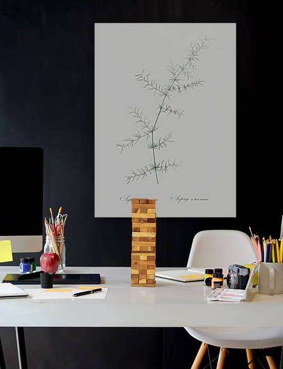 Climbing asparagus illustration  by IStockHistory com
