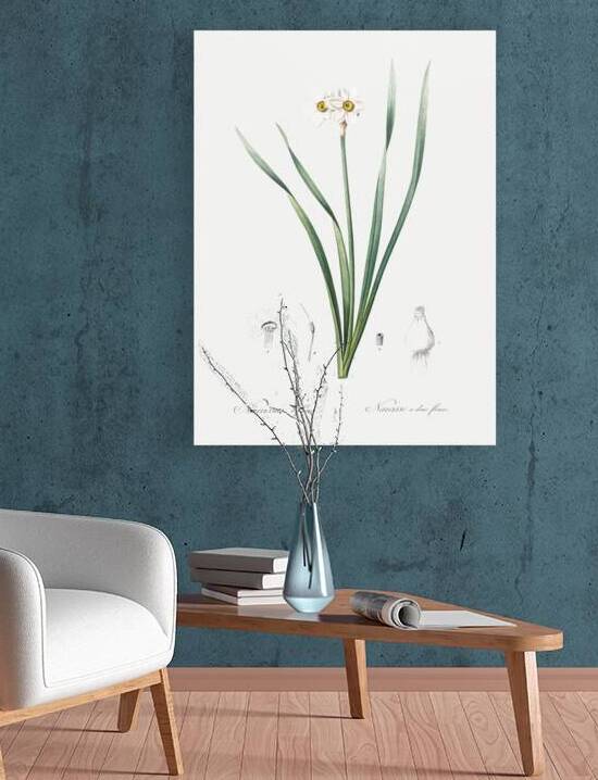 Sea asparagus illustration  by IStockHistory com