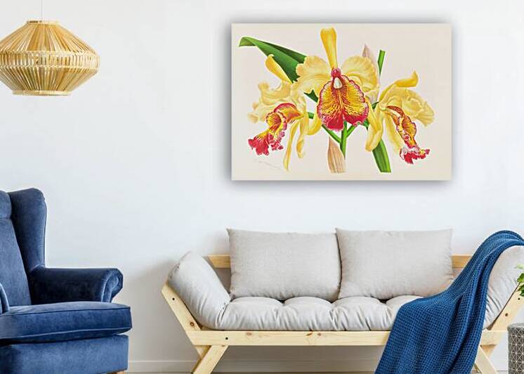 Cattleya Aurea by IStockHistory com