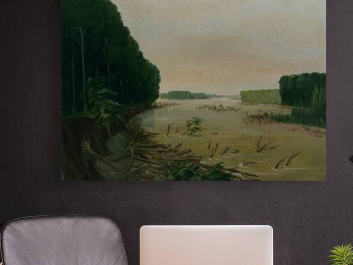 View On The Missouri Alluvial Banks Falling In 600 Miles Above St. Louis 1832 by IStockHistory com