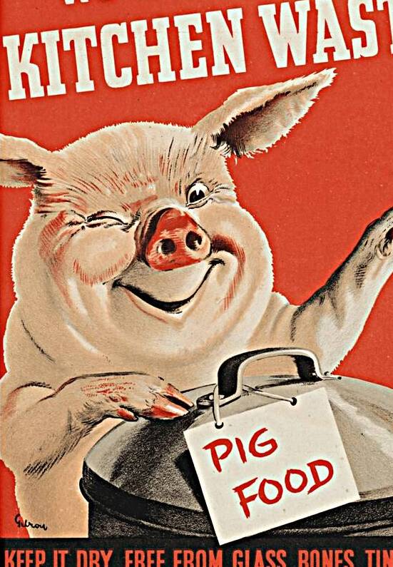 We Want Your Kitchen Waste by IStockHistory com