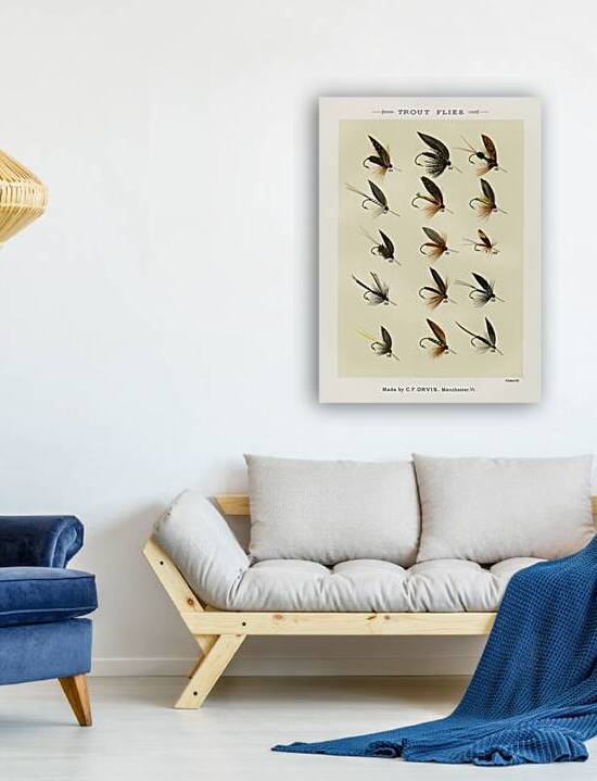 Trout Flies  by IStockHistory com