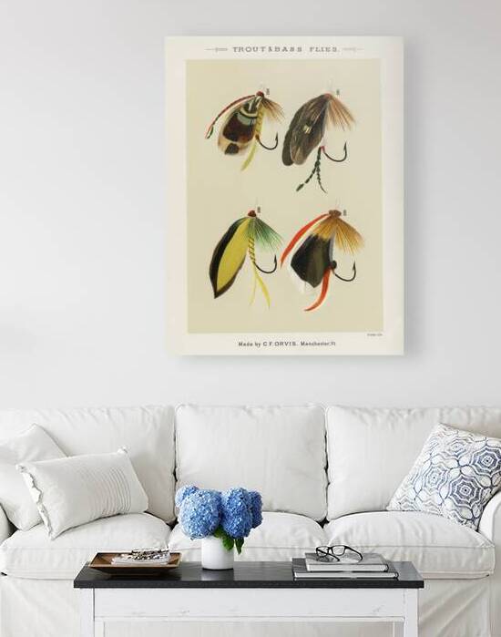 Trout & Bass Flies  by IStockHistory com
