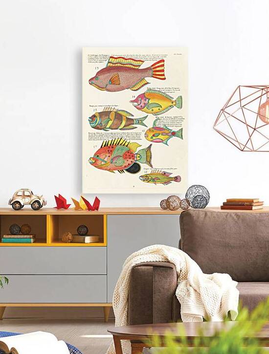 Colourful and surreal illustrations of fishes found in Moluccas Indonesia and the East Indies by Louis Renard 1678 -1746 from Histoire naturelle des plus rares curiositez de la mer des Indes 1754. by IStockHistory com