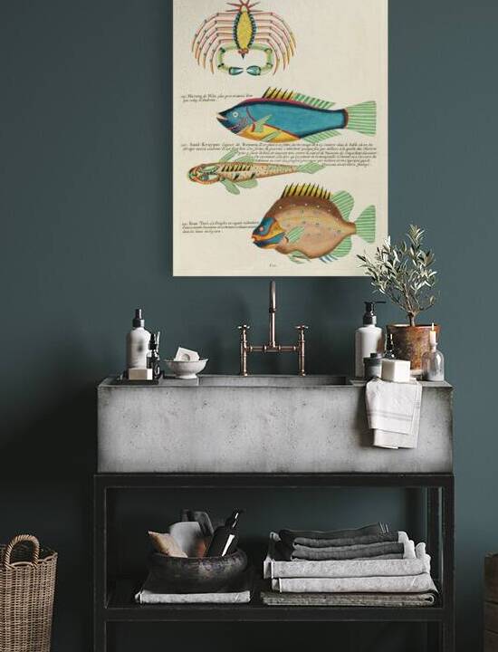 Colourful and surreal illustrations of fishes and crab found in Moluccas Indonesia and the East Indies by Louis Renard 1678 -1746 from Histoire naturelle des plus rares curiositez de la mer des Indes 1754. by IStockHistory com