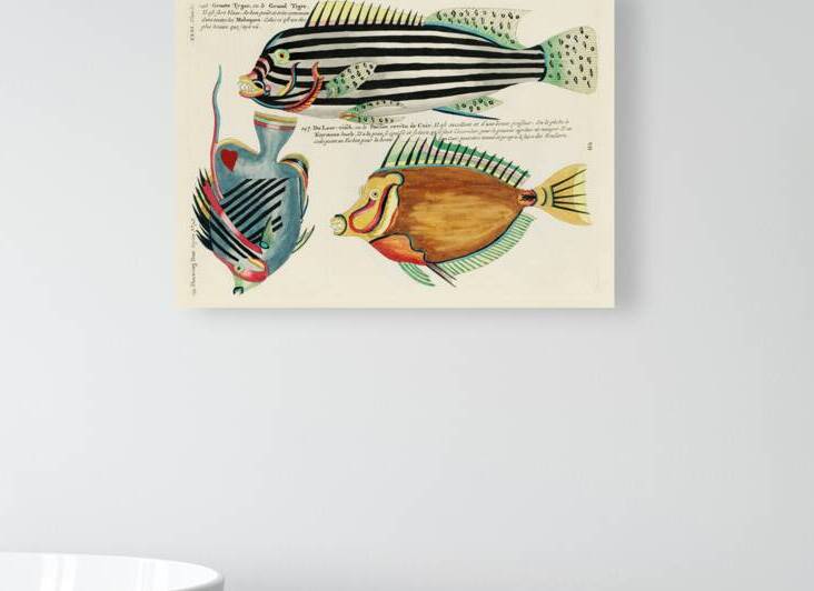 Colourful and surreal illustrations of fishes found in Moluccas Indonesia and the East Indies by Louis Renard 1678 -1746 from Histoire naturelle des plus rares curiositez de la mer des Indes 1754. by IStockHistory com