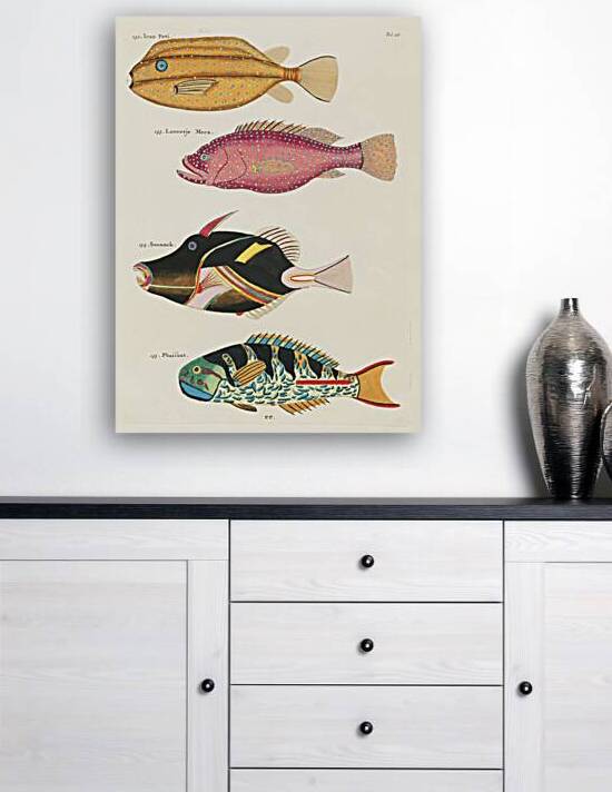 Colourful and surreal illustrations of fishes found in Moluccas Indonesia and the East Indies by Louis Renard 1678 -1746 from Histoire naturelle des plus rares curiositez de la mer des Indes 1754. by IStockHistory com