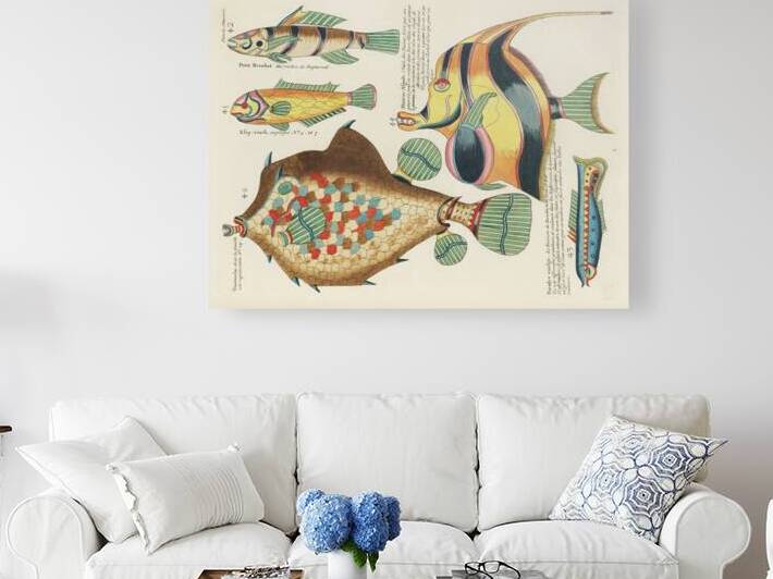 Colourful and surreal illustrations of fishes found in Moluccas Indonesia and the East Indies by Louis Renard 1678 -1746 from Histoire naturelle des plus rares curiositez de la mer des Indes 1754. by IStockHistory com