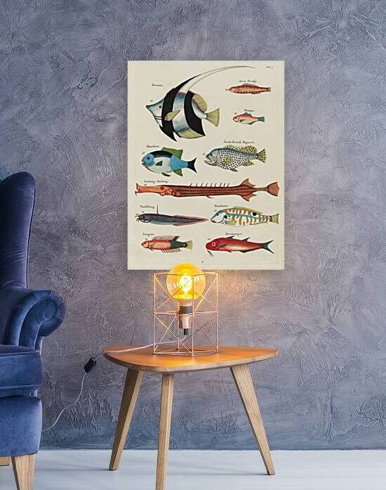 Colourful and surreal illustrations of fishes found in Moluccas Indonesia and the East Indies by Louis Renard 1678 -1746 from Histoire naturelle des plus rares curiositez de la mer des Indes 1754. by IStockHistory com