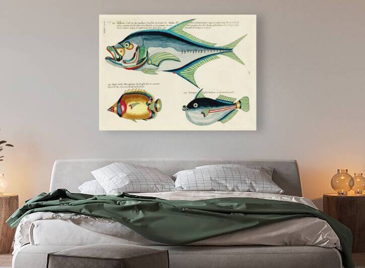 Colourful and surreal illustrations of fishes found in Moluccas Indonesia and the East Indies by Louis Renard 1678 -1746 from Histoire naturelle des plus rares curiositez de la mer des Indes 1754. by IStockHistory com