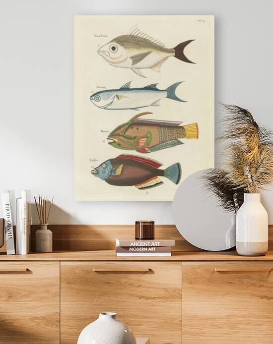 Colourful and surreal illustrations of fishes found in Moluccas Indonesia and the East Indies by Louis Renard 1678 -1746 from Histoire naturelle des plus rares curiositez de la mer des Indes 1754. by IStockHistory com