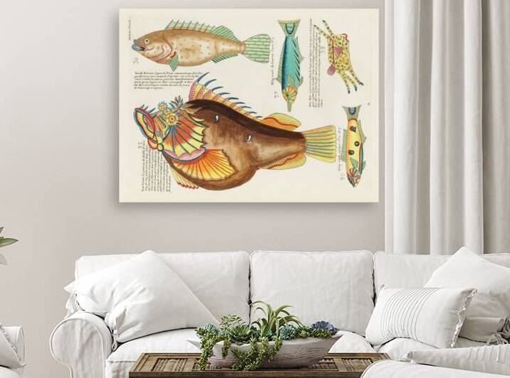 Colourful and surreal illustrations of fishes found in Moluccas Indonesia and the East Indies by Louis Renard 1678 -1746 from Histoire naturelle des plus rares curiositez de la mer des Indes 1754. by IStockHistory com