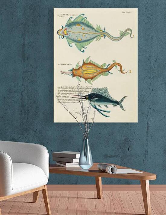Colourful and surreal illustrations of fishes found in Moluccas Indonesia and the East Indies by Louis Renard 1678 -1746 from Histoire naturelle des plus rares curiositez de la mer des Indes 1754. by IStockHistory com