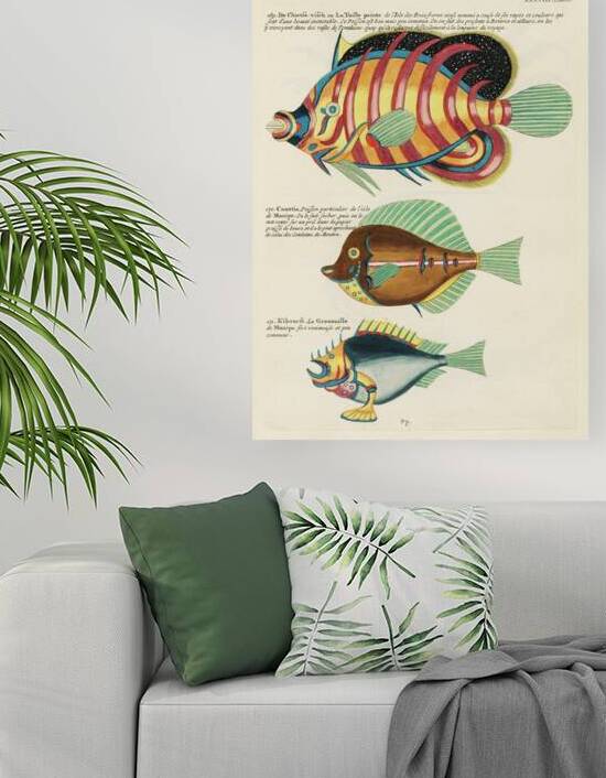 Colourful and surreal illustrations of fishes found in Moluccas Indonesia and the East Indies by Louis Renard 1678 -1746 from Histoire naturelle des plus rares curiositez de la mer des Indes 1754. by IStockHistory com