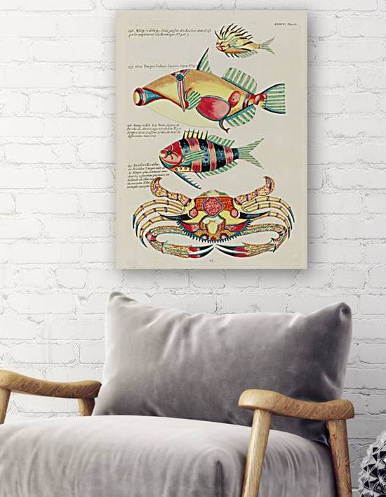 Colourful and surreal illustrations of fishes and crab found in the Indian and Pacific Oceans by Louis Renard 1678 -1746 from Histoire naturelle des plus rares curiositez de la mer des Indes 1754. by IStockHistory com