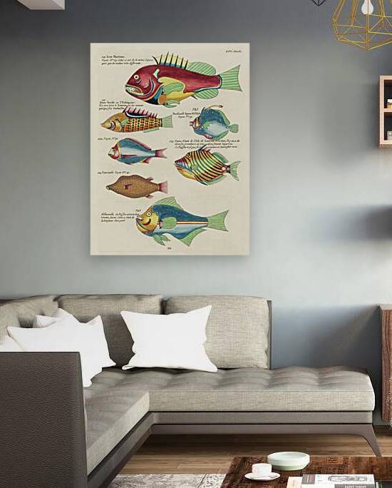 Colourful and surreal illustrations of fishes found in Moluccas Indonesia and the East Indies by Louis Renard 1678 -1746 from Histoire naturelle des plus rares curiositez de la mer des Indes 1754. by IStockHistory com