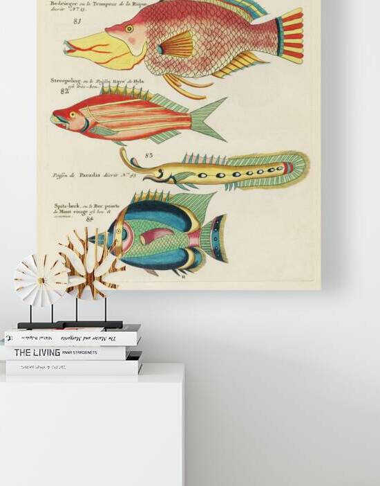 Colourful and surreal illustrations of fishes found in Moluccas Indonesia and the East Indies by Louis Renard 1678 -1746 from Histoire naturelle des plus rares curiositez de la mer des Indes 1754. by IStockHistory com