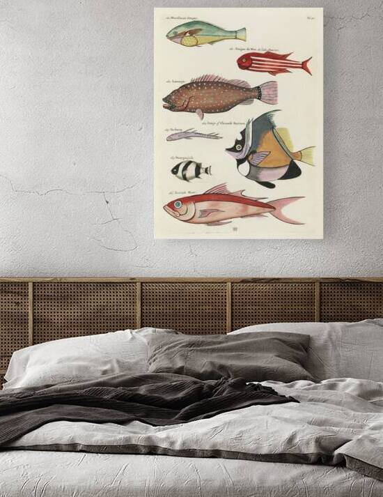 Colourful and surreal illustrations of fishes found in Moluccas Indonesia and the East Indies by Louis Renard 1678 -1746 from Histoire naturelle des plus rares curiositez de la mer des Indes 1754. by IStockHistory com