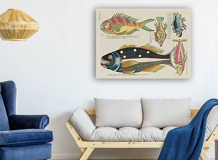 Colourful and surreal illustrations of fishes found in Moluccas Indonesia and the East Indies by Louis Renard 1678 -1746 from Histoire naturelle des plus rares curiositez de la mer des Indes 1754. by IStockHistory com