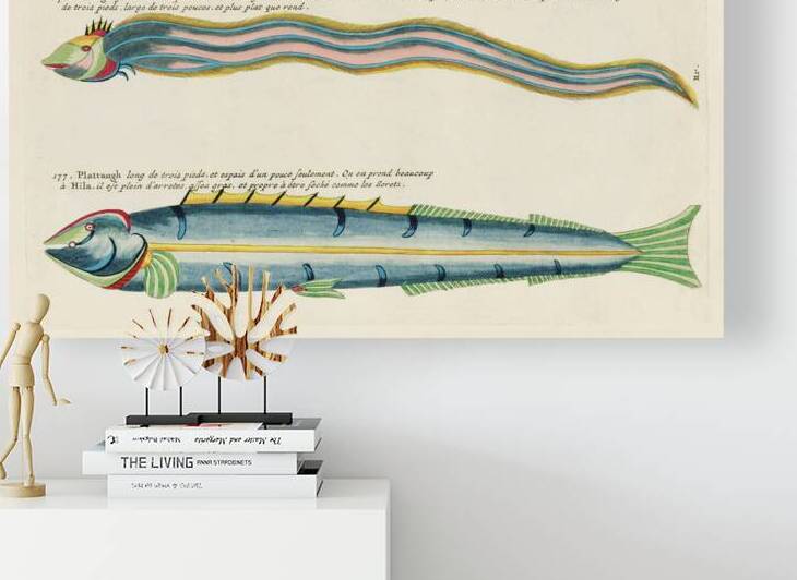 Illustrations of a siren and lobster found in the Moluccas Indonesia and the East Indies by Louis Renard 1678 -1746 from Histoire naturelle des plus rares curiositez de la mer des Indes 1754. by IStockHistory com