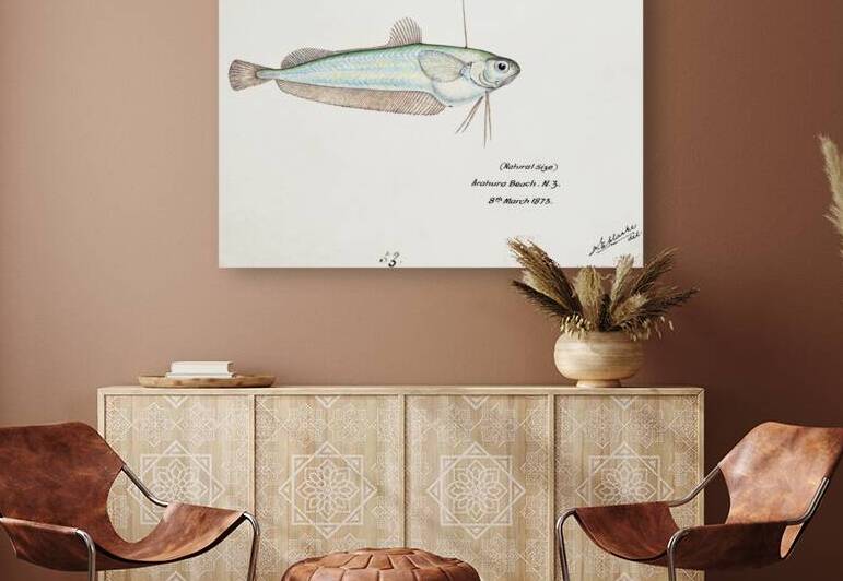 Antique fish Auchenoceros punctatus NZ : Ahuru South Pacific Fishes by Frank Edward Clarke 1849-1899.  by IStockHistory com