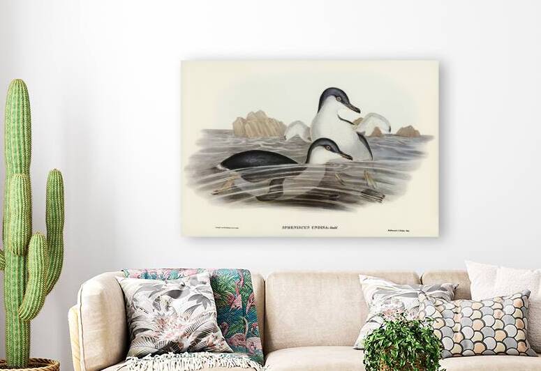 Black-eyebrowed Albatros Diomedea melanophrys illustrated by Elizabeth Gould 1804–1841 for John Gould’s 1804-1881 Birds of Australia  by IStockHistory com
