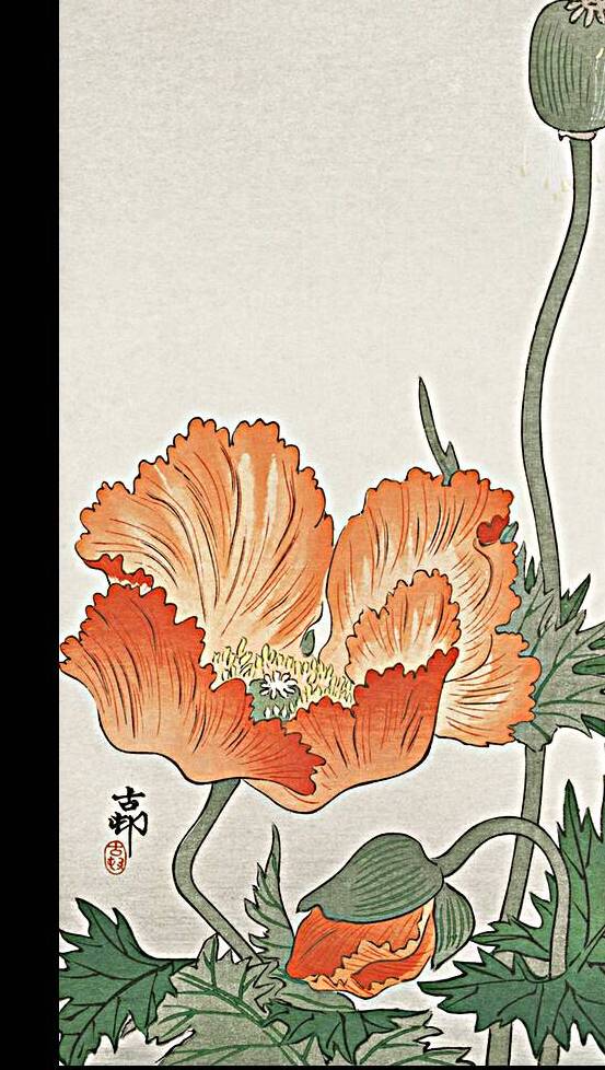 Ring sparrows and insect 1900 - 1936 by Ohara Koson 1877-1945. by IStockHistory com