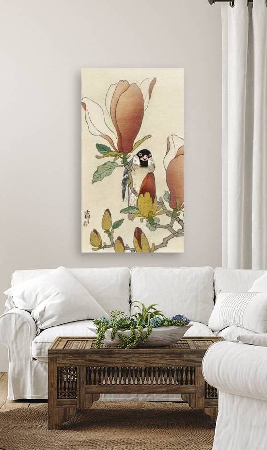 Sparrow on blooming magnolia branch 1900 - 1930 by Ohara Koson 1877-1945. by IStockHistory com