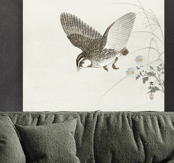 Flying quail 1900 - 1930 by Ohara Koson 1877-1945. by IStockHistory com