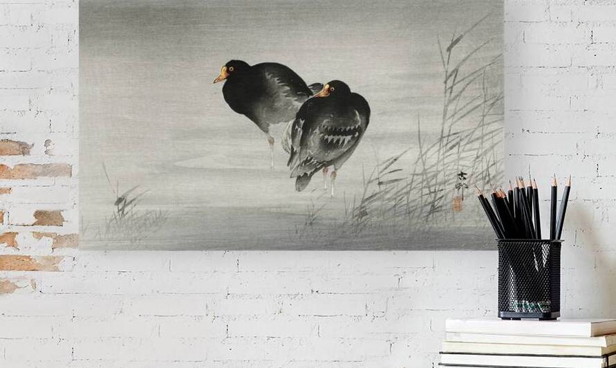 Two moorhens 1900 - 1930 by Ohara Koson 1877-1945. by IStockHistory com