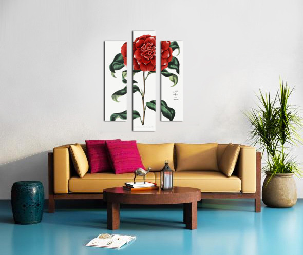 Mr. Reevess crimson camellia from Edwards Botanical Register 1829-1847  by Sydenham Edwards John Lindley and James Ridgway. Canvas print