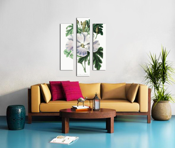 Mrs. Wrays hibiscus from Edwards Botanical Register 1829-1847  by Sydenham Edwards John Lindley and James Ridgway. Canvas print