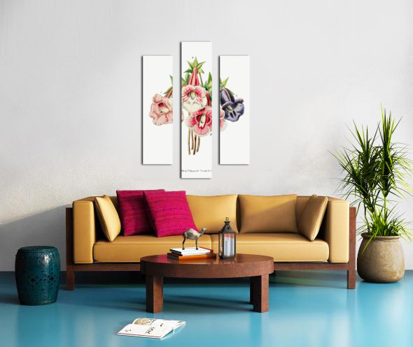 Gloxinia flower varieties from Edwards Botanical Register 1829-1847  by Sydenham Edwards John Lindley and James Ridgway. Canvas print